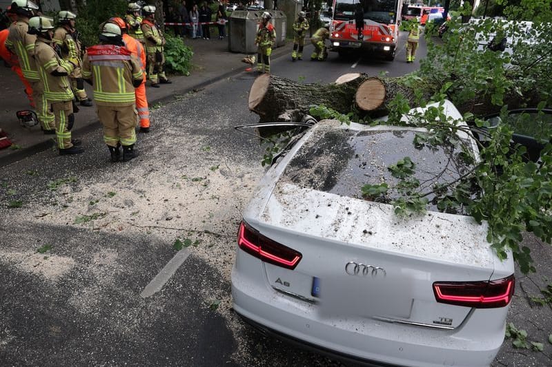 Unfallstelle auf der Vennhauser Allee: Der Fahrer des Audi kam mit schweren Verletzungen in eine Klinik.